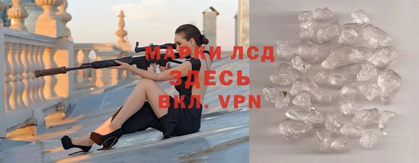 стаф Алзамай