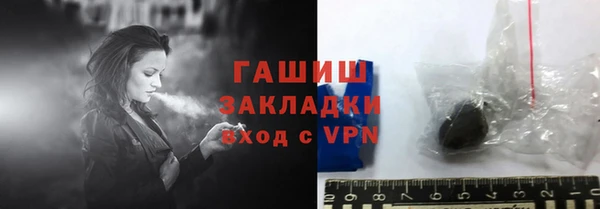 стаф Алзамай