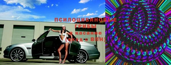 стаф Алзамай