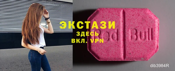 стаф Алзамай