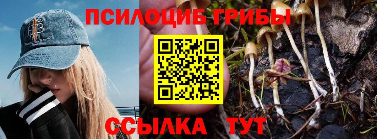 Галлюциногенные грибы GOLDEN TEACHER  Вход с VPN  Балаково 